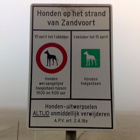Appartement In Zandvoort Bagian luar foto