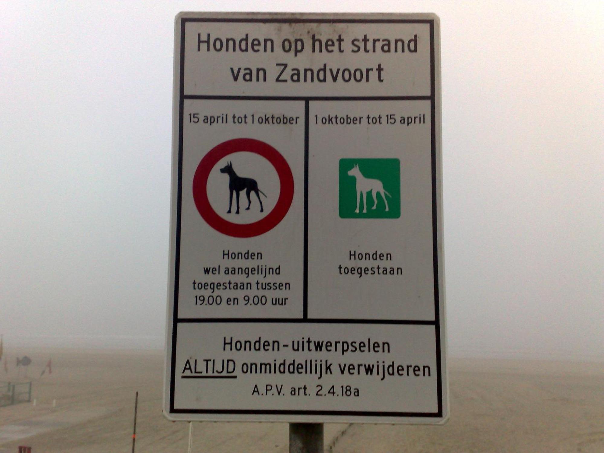 Appartement In Zandvoort Bagian luar foto